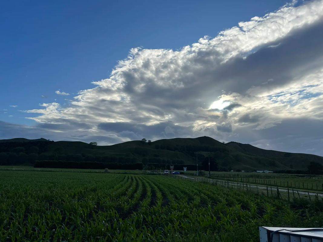 新西兰打工度假submit