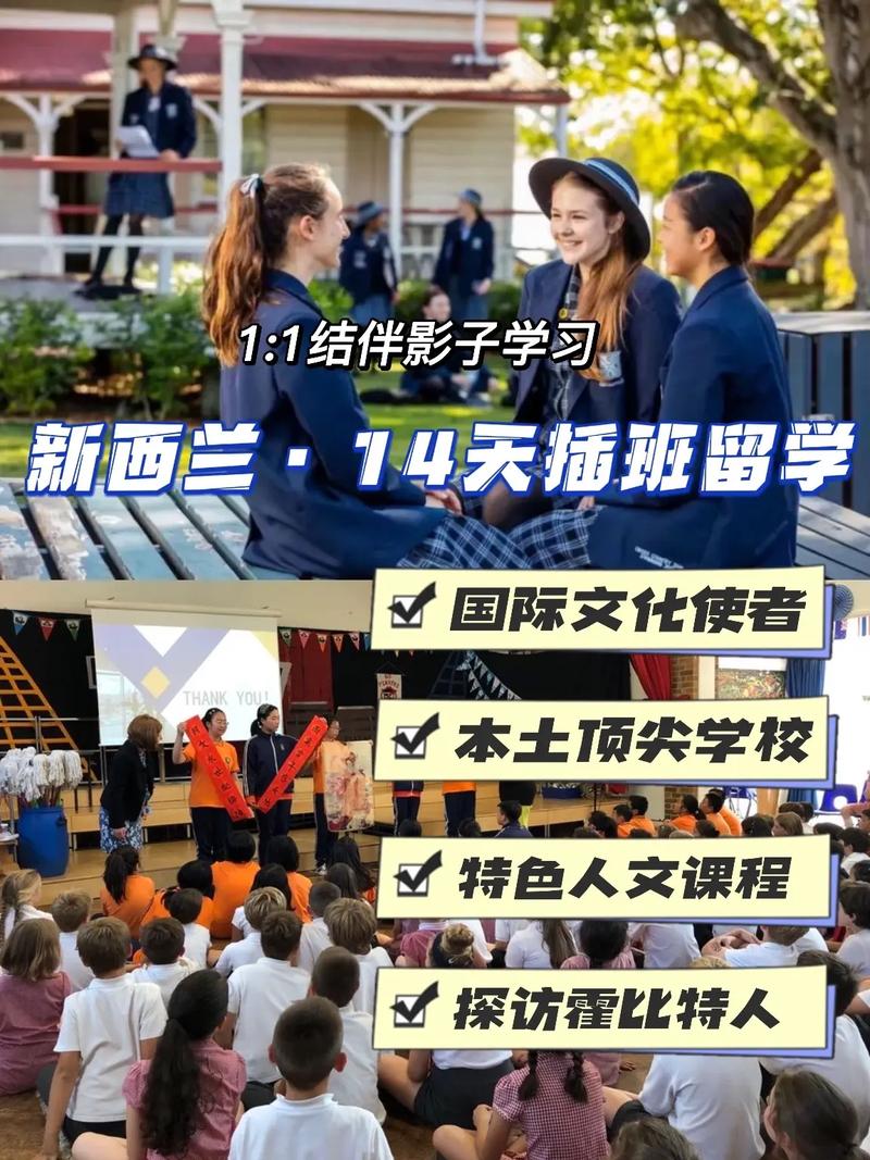 在新西兰学teaching