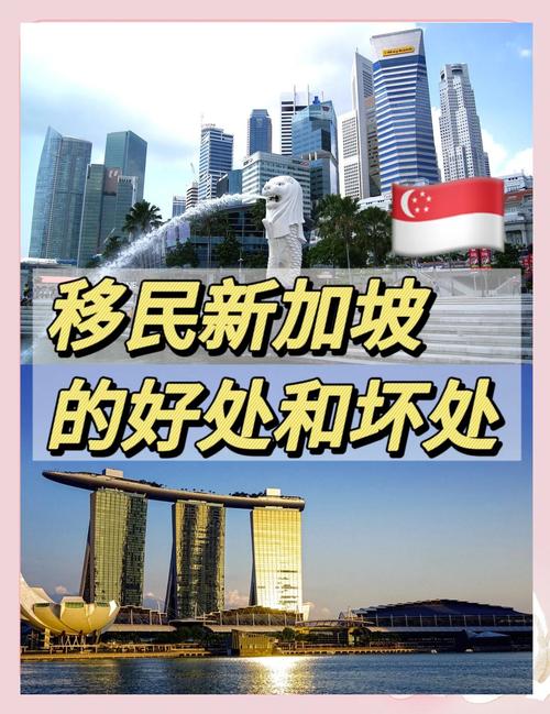 新加坡护理专业好移民吗