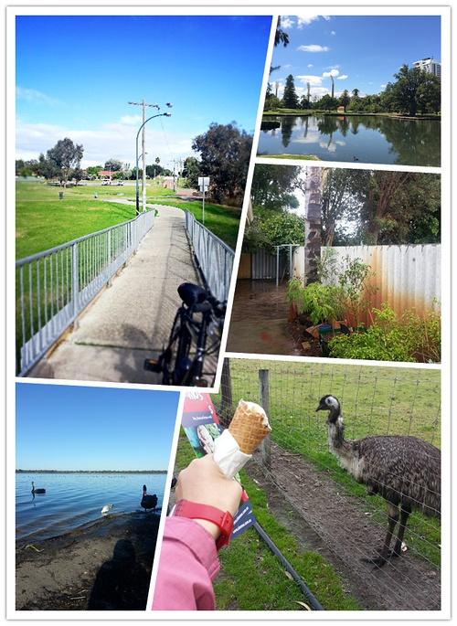 澳洲homestay网站介绍