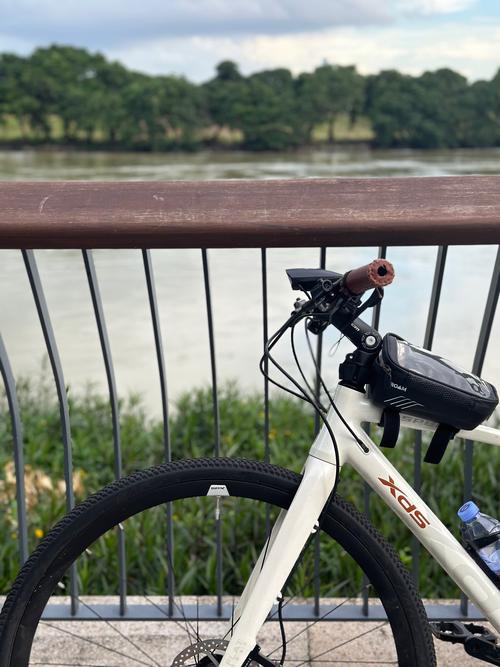 新西兰learner 扣车