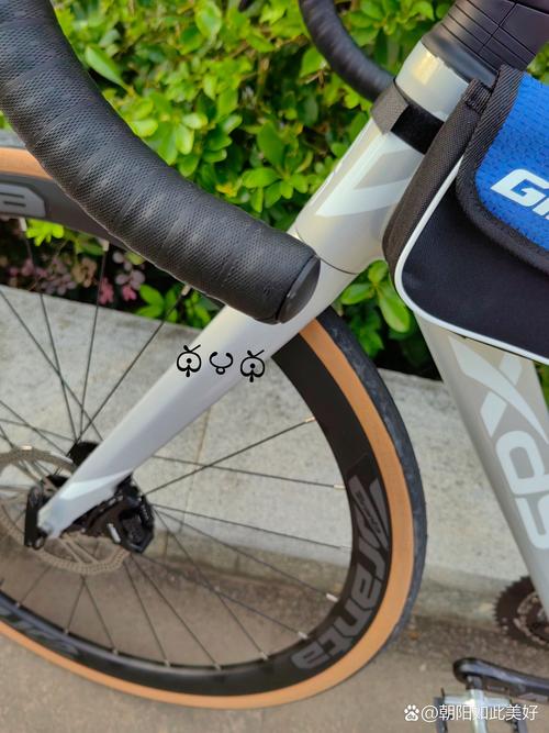 新西兰learner 扣车