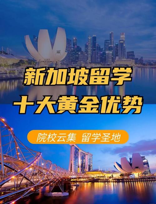 读大专能去新加坡留学吗