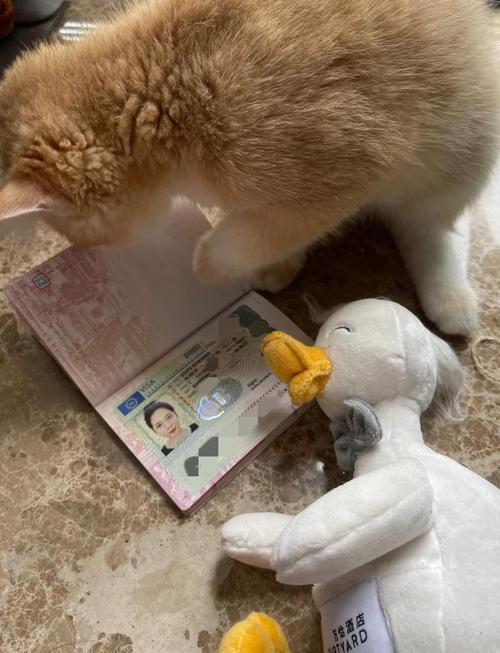 澳大利亚驻上海领事馆签证处