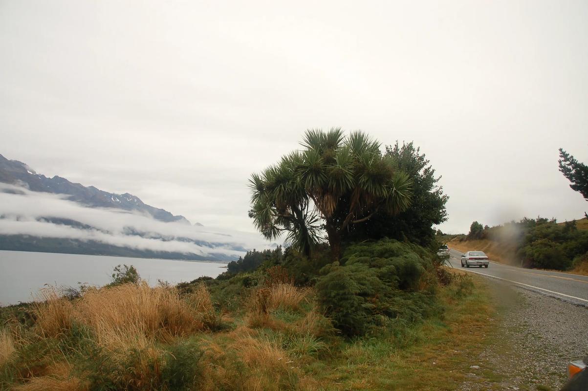 新西兰的greenland