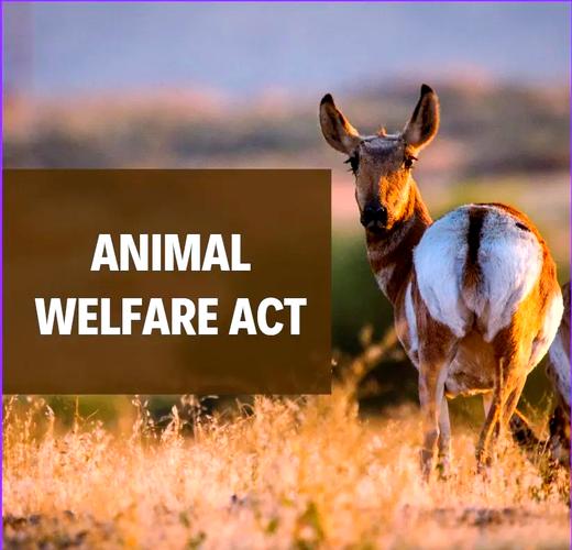 新西兰resident福利