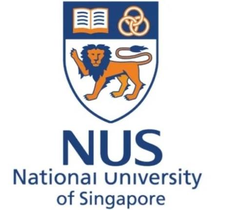 新加坡国立离岸工程硕士