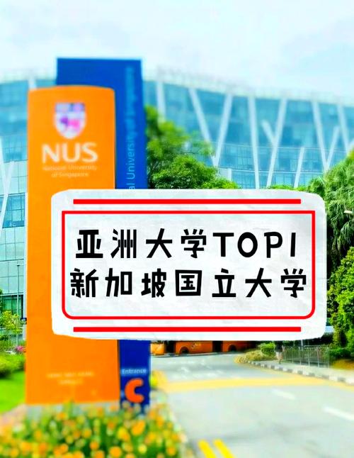 新加坡国立大学办学特色