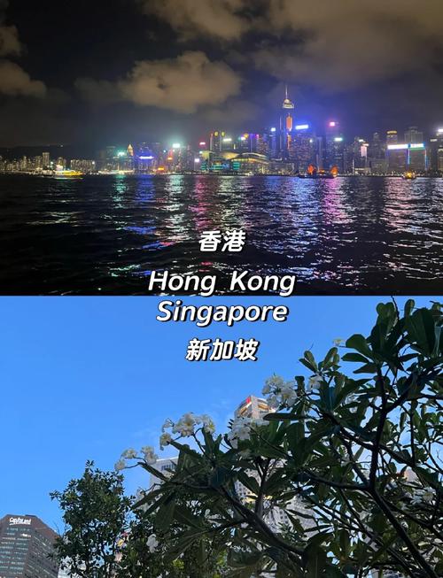 香港和新加坡的比较方便