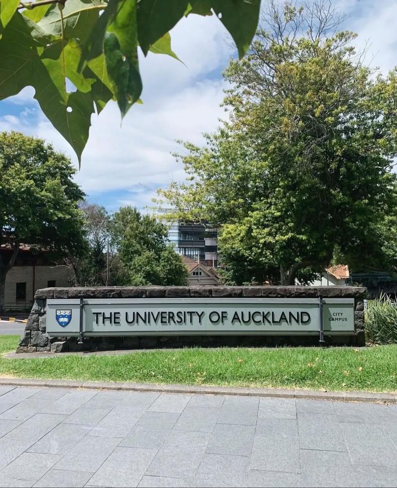 新西兰奥克兰大学全球排名