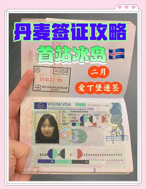 冰岛签证新政策2025年