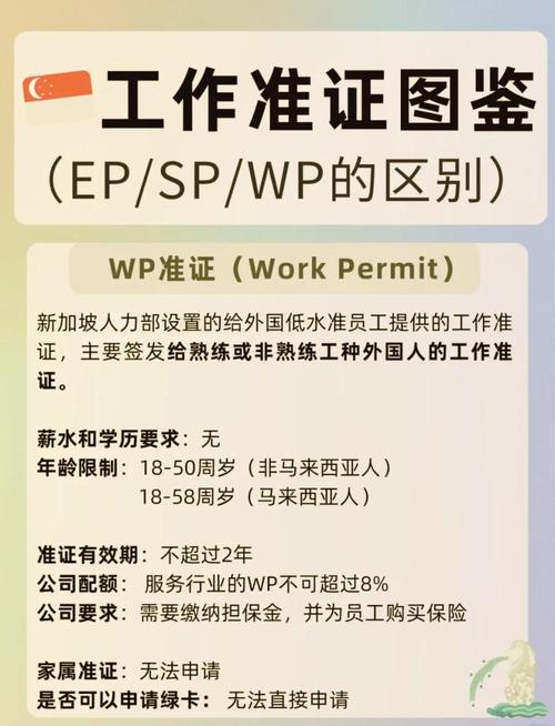 新加坡长期社交观光准证