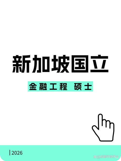新加坡国大金融工程专业