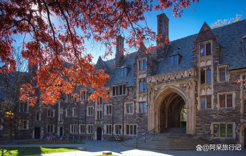 新西兰学兽医还是学建筑