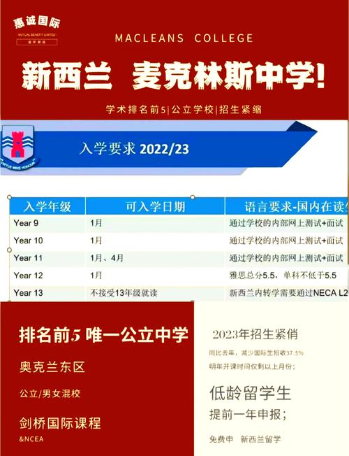 新西兰麦克林斯中学测试