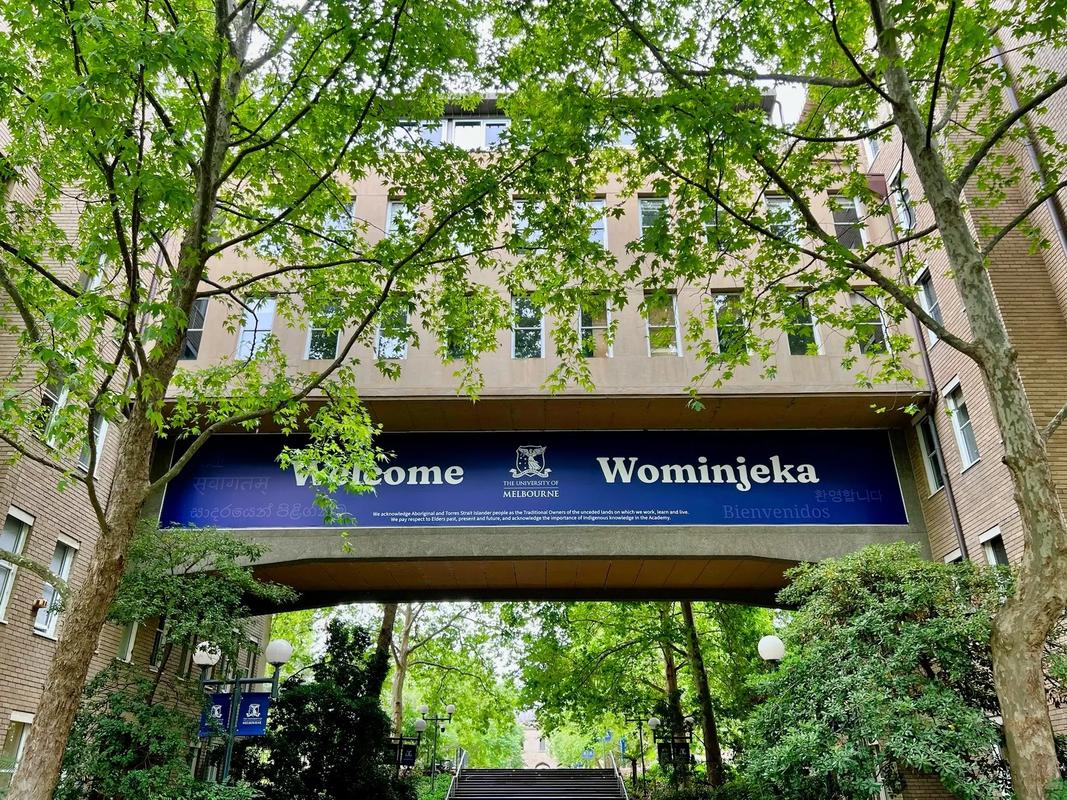 澳洲大学placement