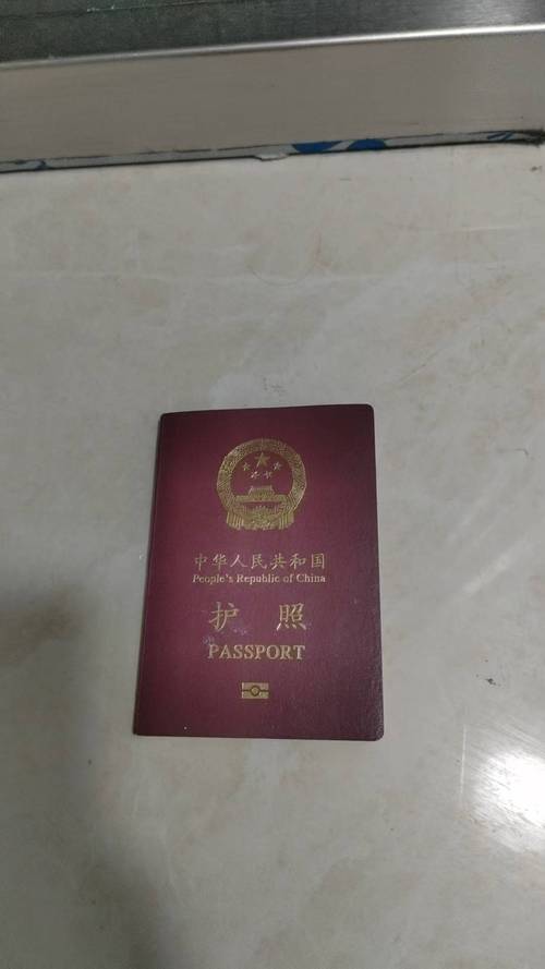 新加坡签证申请表 打印