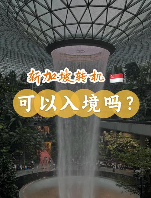 新加坡很依赖电子电机吗