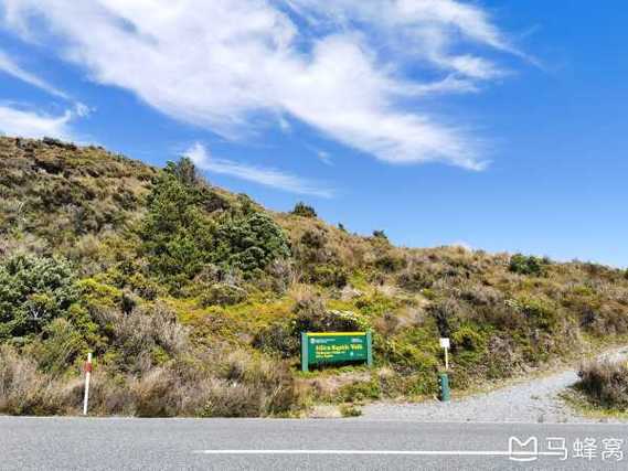 新西兰永久居民疫情补贴