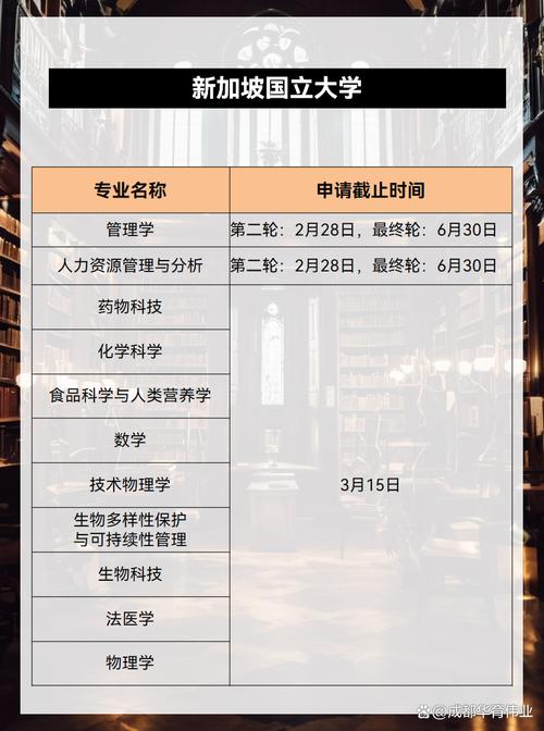 新加坡大学2025招生