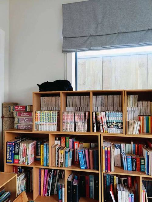 新西兰家长陪读能工作吗