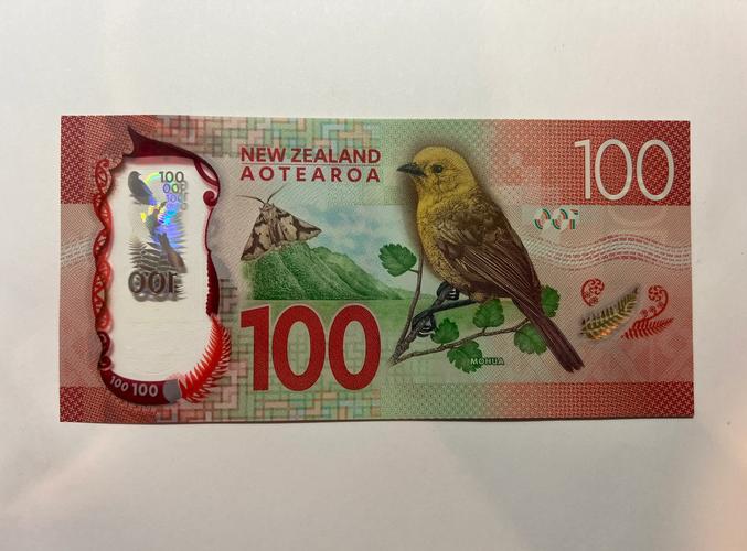 新西兰本科留学用什么币