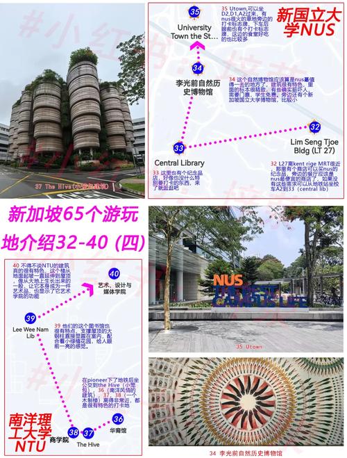 新加坡留学还是去日本好