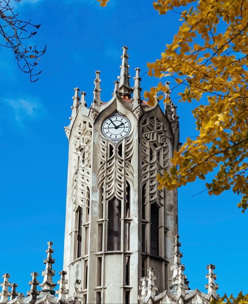 新西兰的AIC私立学校