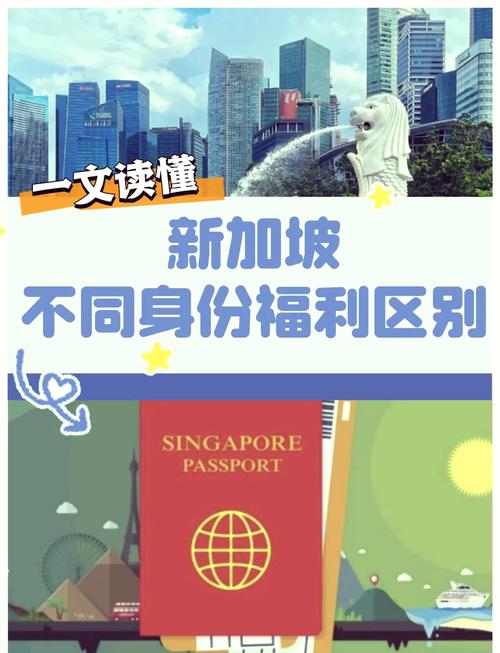 拿了新加坡绿卡在新看病