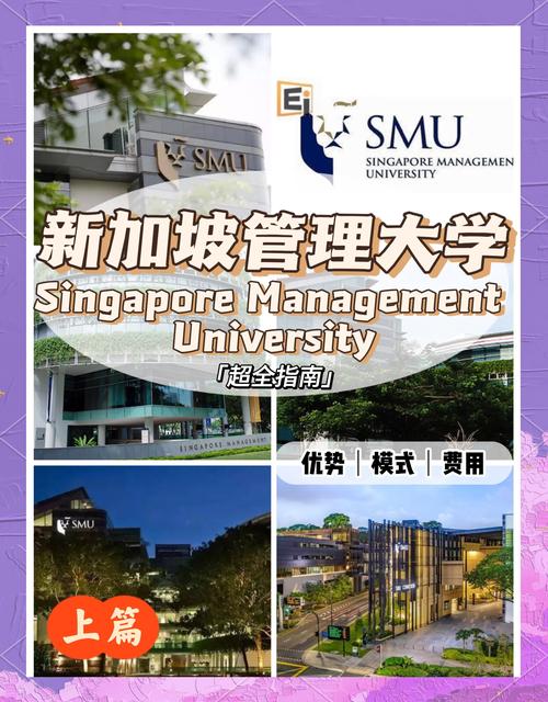 新加坡商业管理大学排名
