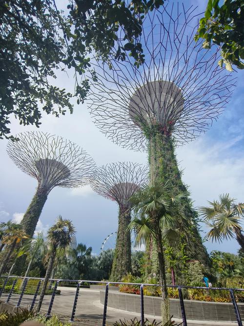 新加坡的主要景观和建筑