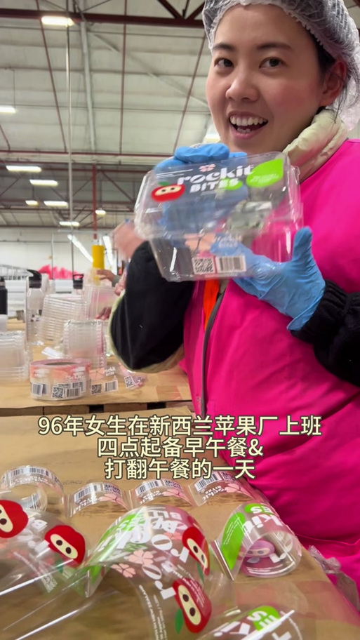 到新西兰打工要那些条件