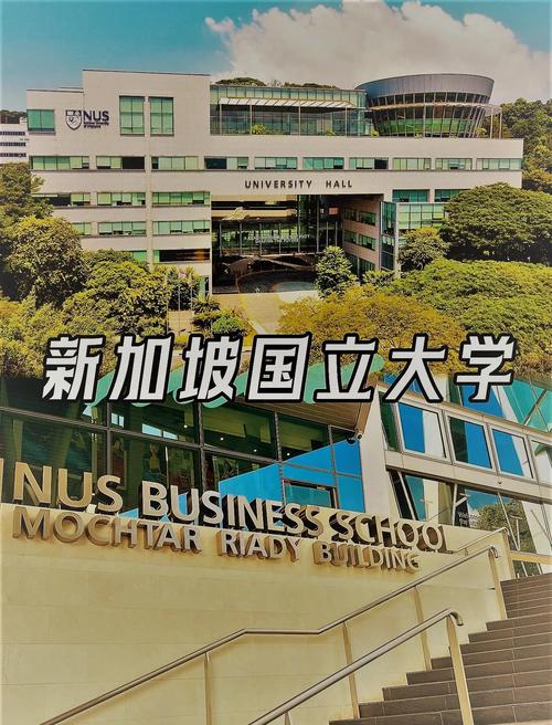 高考进入新加坡国立大学