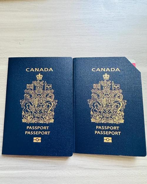 新西兰护照到加拿大生活
