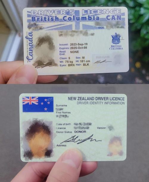 新西兰大专能申请绿卡吗