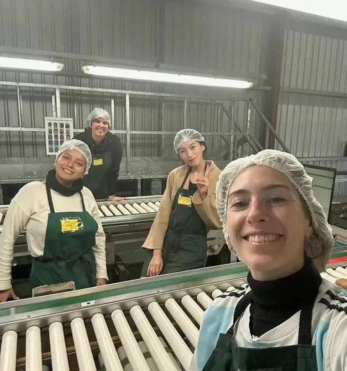 新西兰打工能进去吗现在