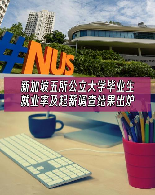 新加坡国立大学中文就业