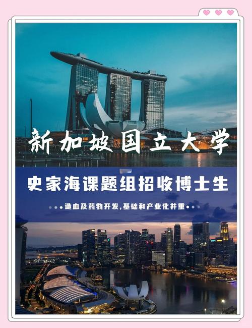 新加坡国立大学中文就业