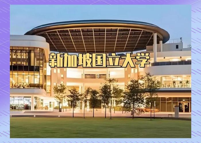 新加坡国立大学中文就业