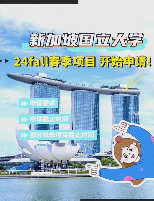 新加坡国立大学项目申请