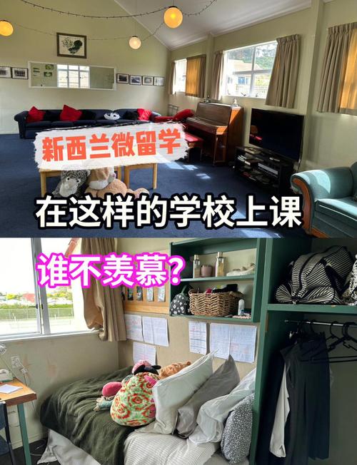 新西兰高中都有哪些课程