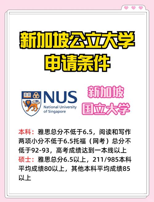 大专申请新加坡国立大学