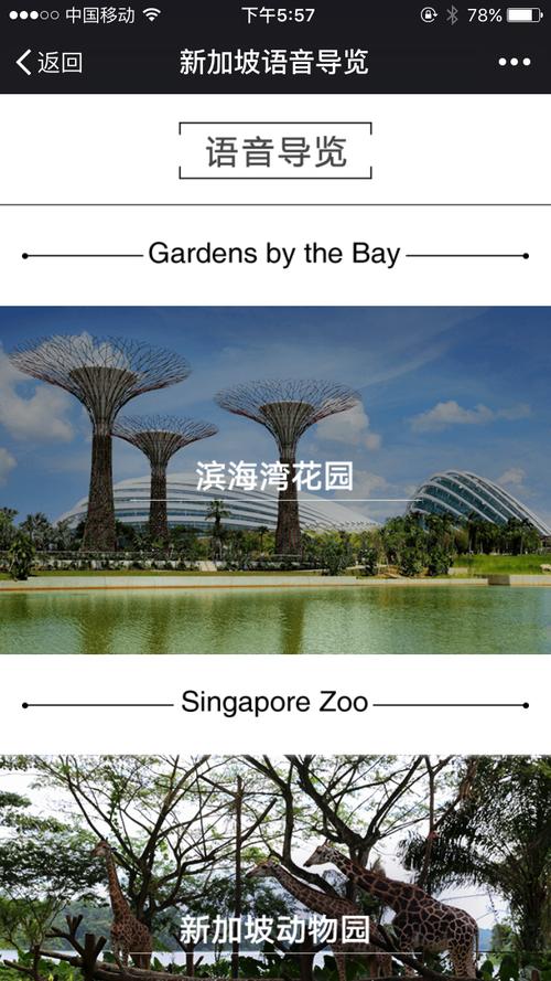 去新加坡签证有多少种类