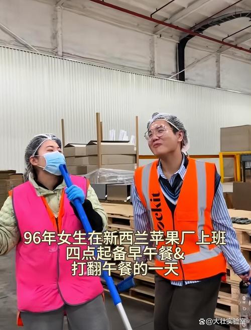 无技术怎么去新西兰打工