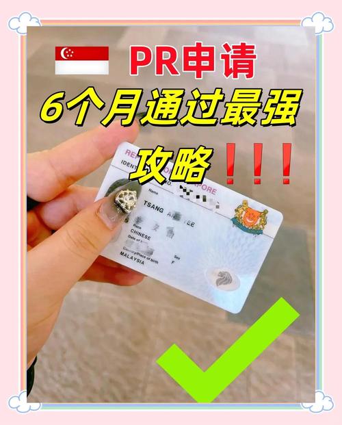 新加坡pr申请美国大学