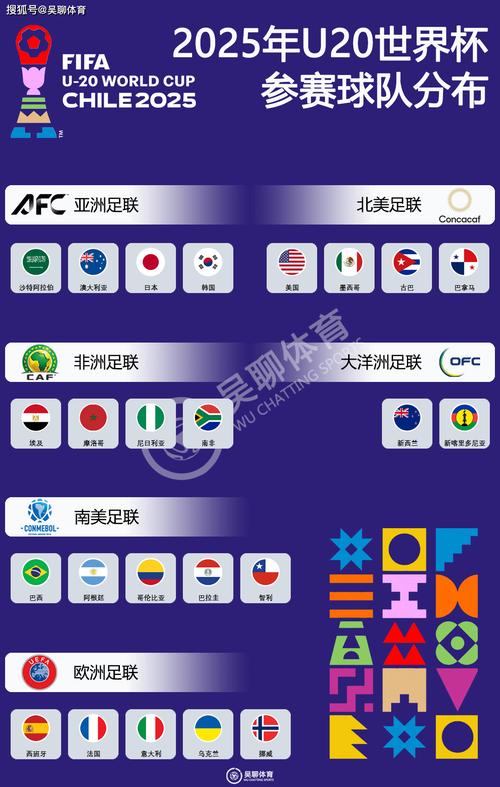 2025新西兰进世界杯