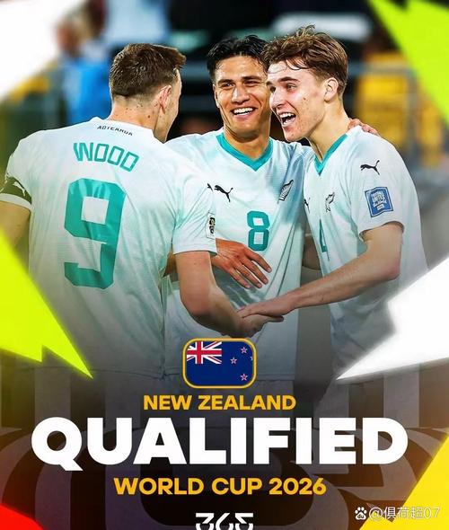 2025新西兰进世界杯