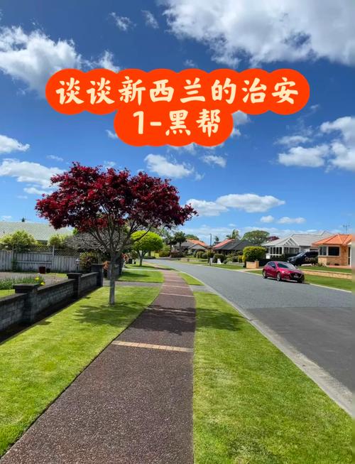 新西兰的法律冷门小知识