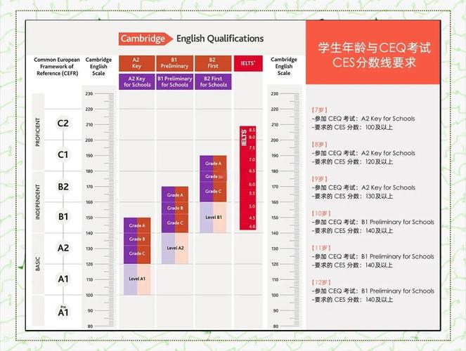 考新加坡初级学院的比例