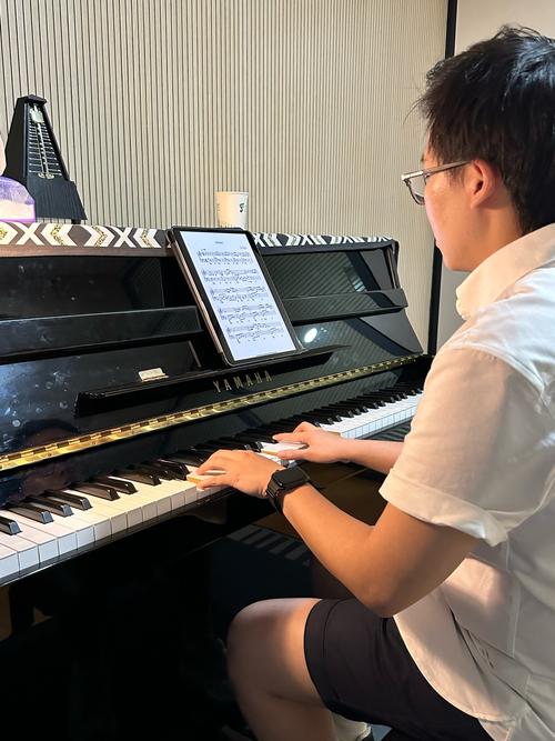 初中去新西兰读钢琴专业